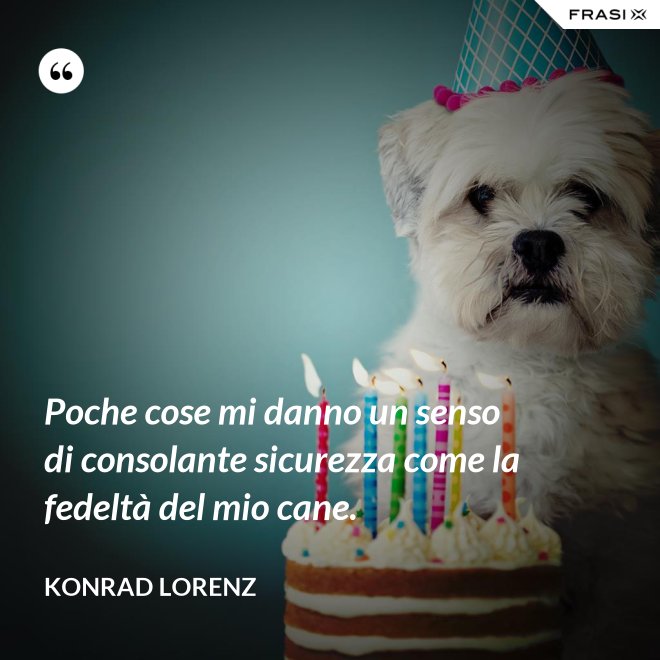 Poche cose mi danno un senso di consolante sicurezza come la fedeltà del mio cane. - Konrad Lorenz