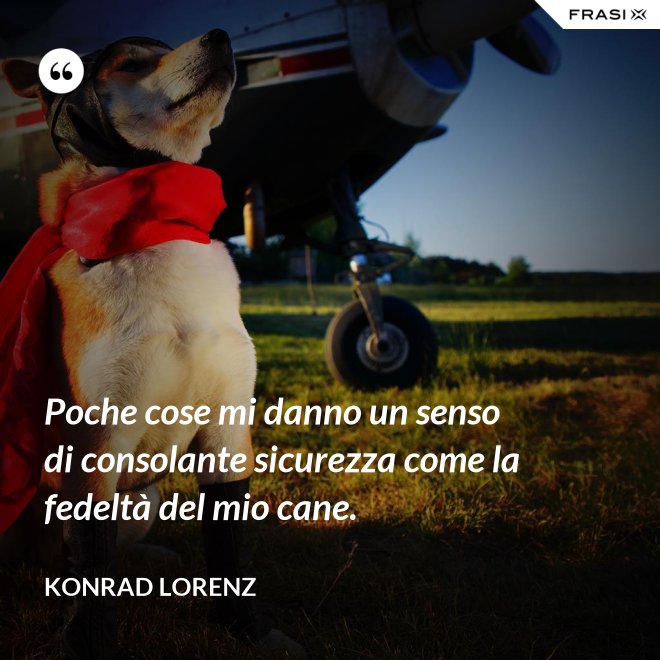 Poche cose mi danno un senso di consolante sicurezza come la fedeltà del mio cane. - Konrad Lorenz