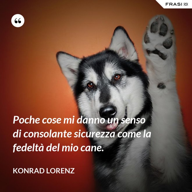 Poche cose mi danno un senso di consolante sicurezza come la fedeltà del mio cane. - Konrad Lorenz