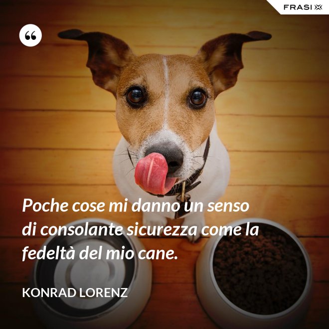 Poche cose mi danno un senso di consolante sicurezza come la fedeltà del mio cane. - Konrad Lorenz