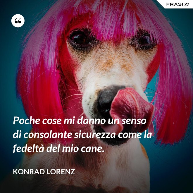 Poche cose mi danno un senso di consolante sicurezza come la fedeltà del mio cane. - Konrad Lorenz