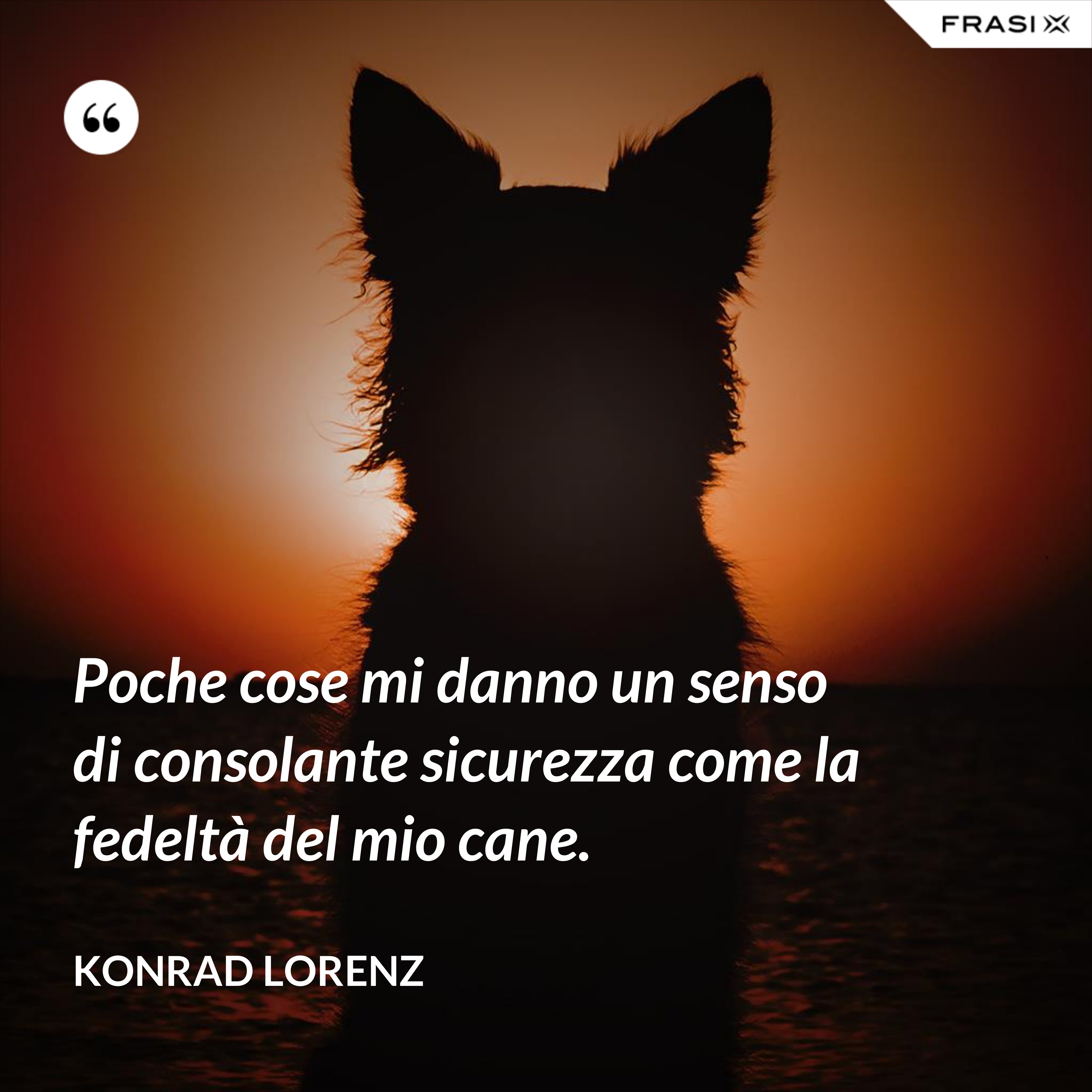Poche cose mi danno un senso di consolante sicurezza come la fedeltà del mio cane. - Konrad Lorenz