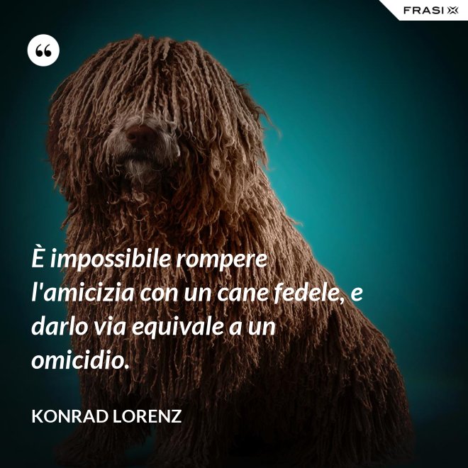 È impossibile rompere l'amicizia con un cane fedele, e darlo via equivale a un omicidio. - Konrad Lorenz