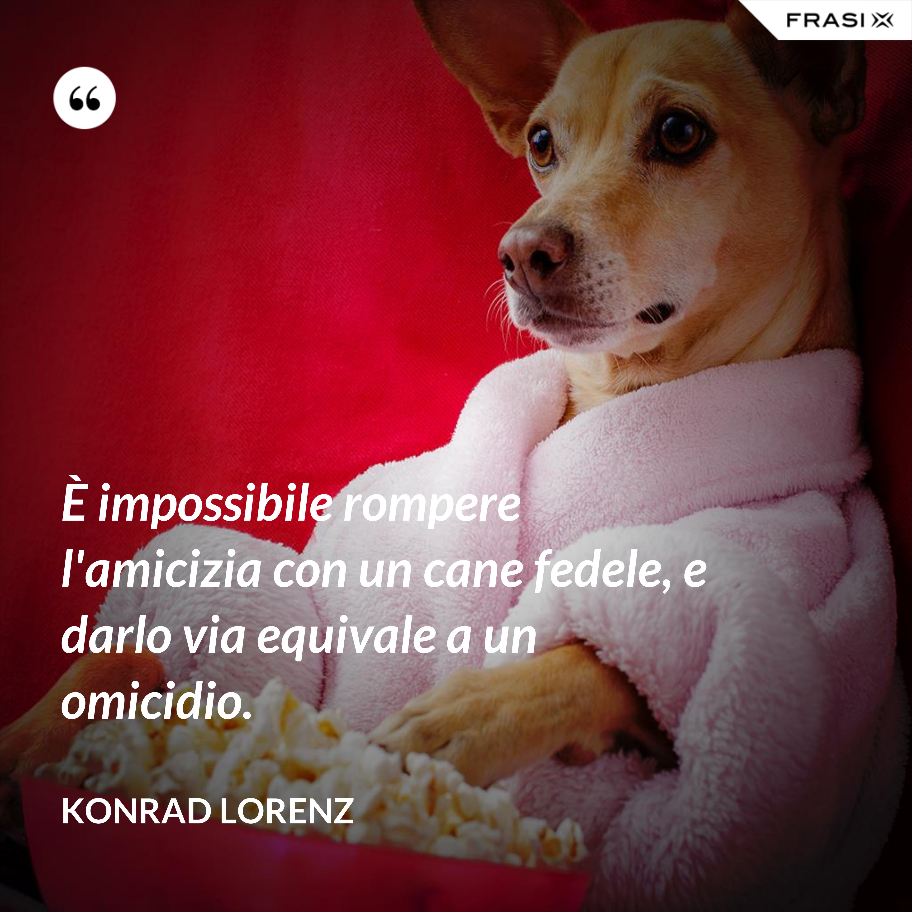È impossibile rompere l'amicizia con un cane fedele, e darlo via equivale a un omicidio. - Konrad Lorenz