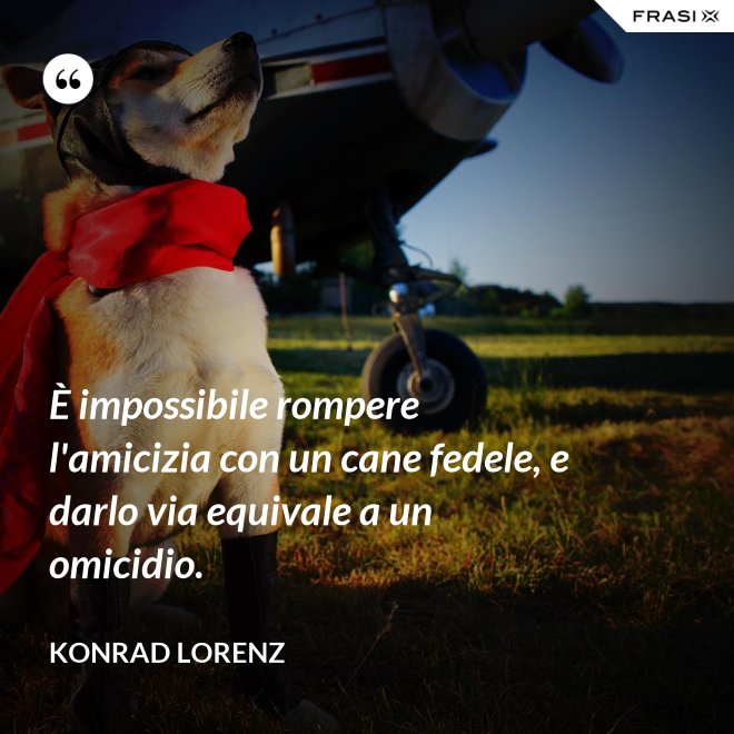 È impossibile rompere l'amicizia con un cane fedele, e darlo via equivale a un omicidio. - Konrad Lorenz