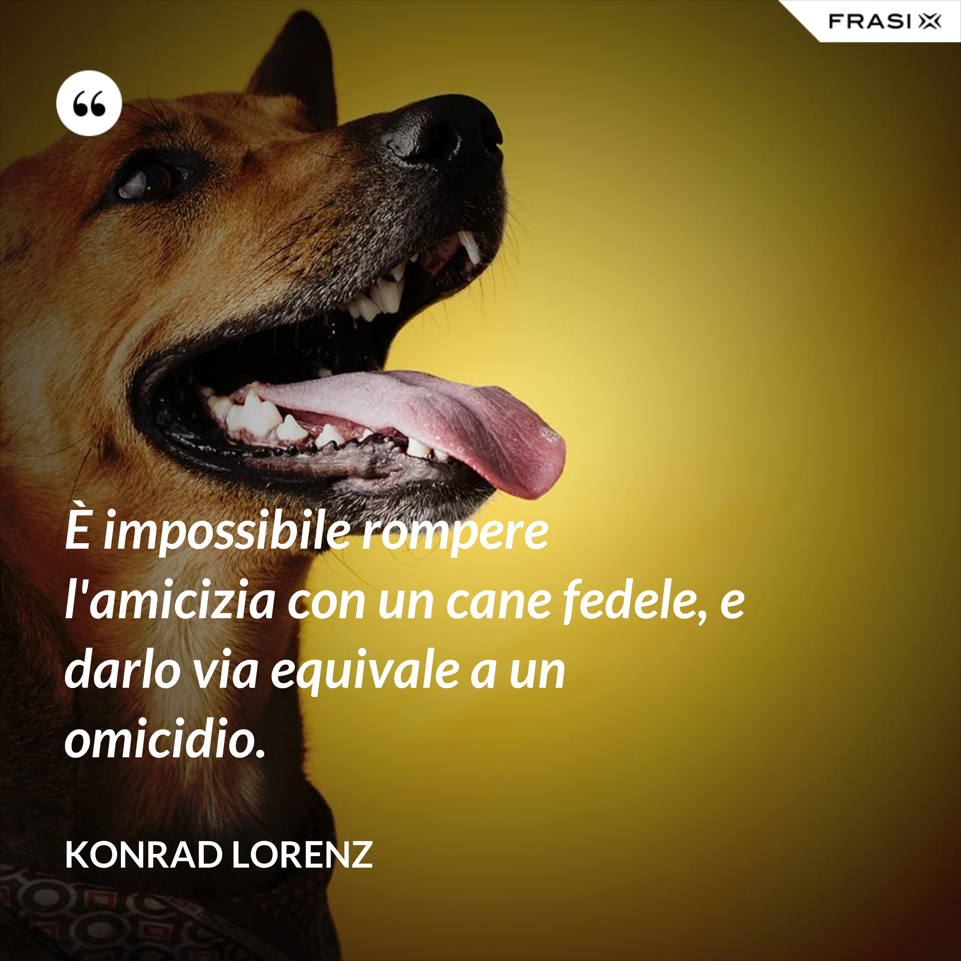 È impossibile rompere l'amicizia con un cane fedele, e darlo via equivale a un omicidio. - Konrad Lorenz