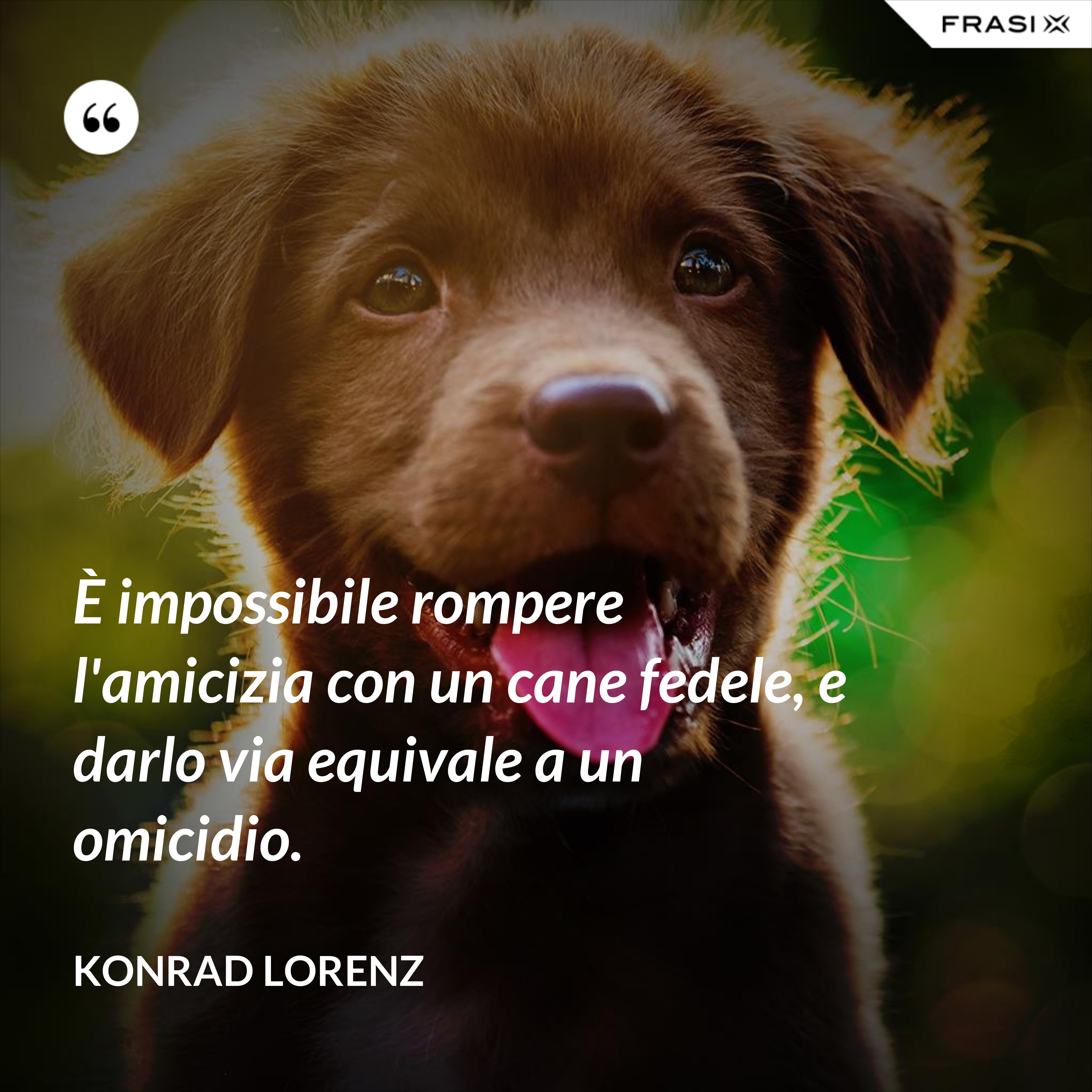 È impossibile rompere l'amicizia con un cane fedele, e darlo via equivale a un omicidio. - Konrad Lorenz