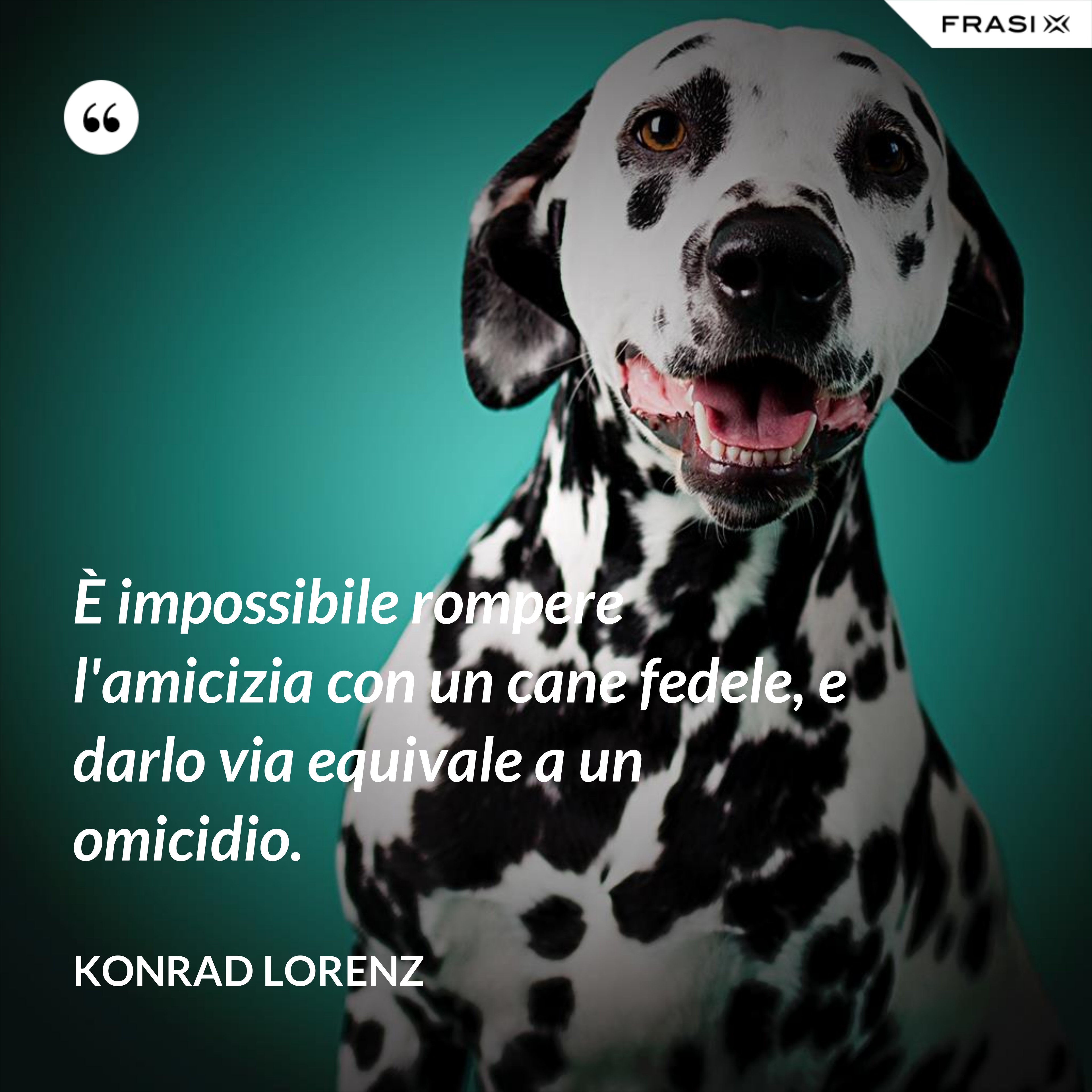 È impossibile rompere l'amicizia con un cane fedele, e darlo via equivale a un omicidio. - Konrad Lorenz