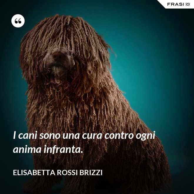 I cani sono una cura contro ogni anima infranta. - Elisabetta Rossi Brizzi