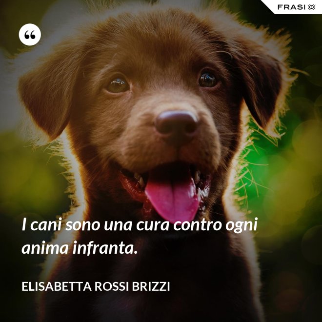 I cani sono una cura contro ogni anima infranta. - Elisabetta Rossi Brizzi