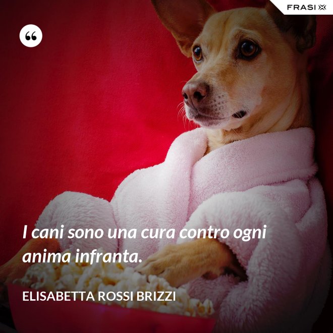 I cani sono una cura contro ogni anima infranta. - Elisabetta Rossi Brizzi