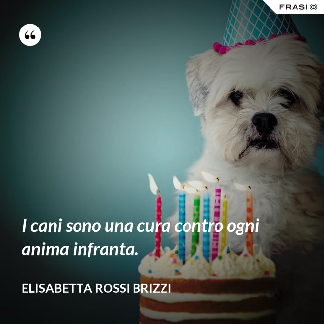 I cani sono una cura contro ogni anima infranta. - Elisabetta Rossi Brizzi