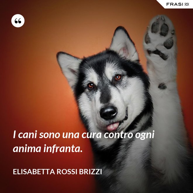 I cani sono una cura contro ogni anima infranta. - Elisabetta Rossi Brizzi