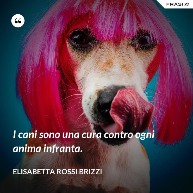 I cani sono una cura contro ogni anima infranta. - Elisabetta Rossi Brizzi