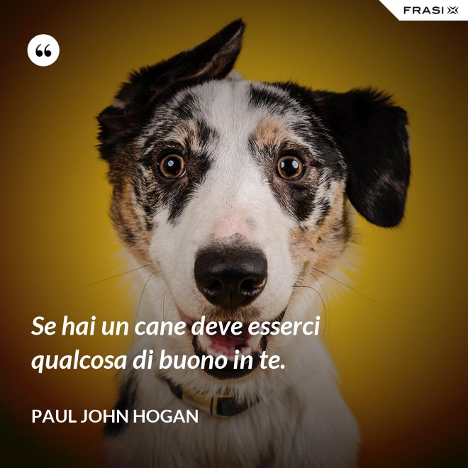 Se hai un cane deve esserci qualcosa di buono in te. - Paul John Hogan