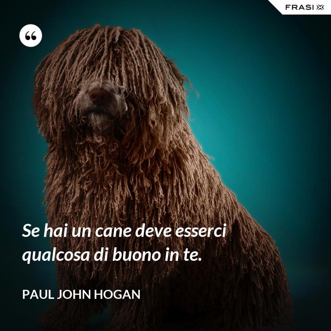 Se hai un cane deve esserci qualcosa di buono in te. - Paul John Hogan