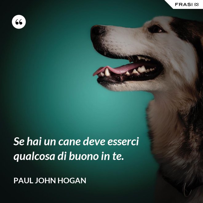 Se hai un cane deve esserci qualcosa di buono in te. - Paul John Hogan