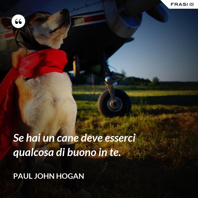Se hai un cane deve esserci qualcosa di buono in te. - Paul John Hogan