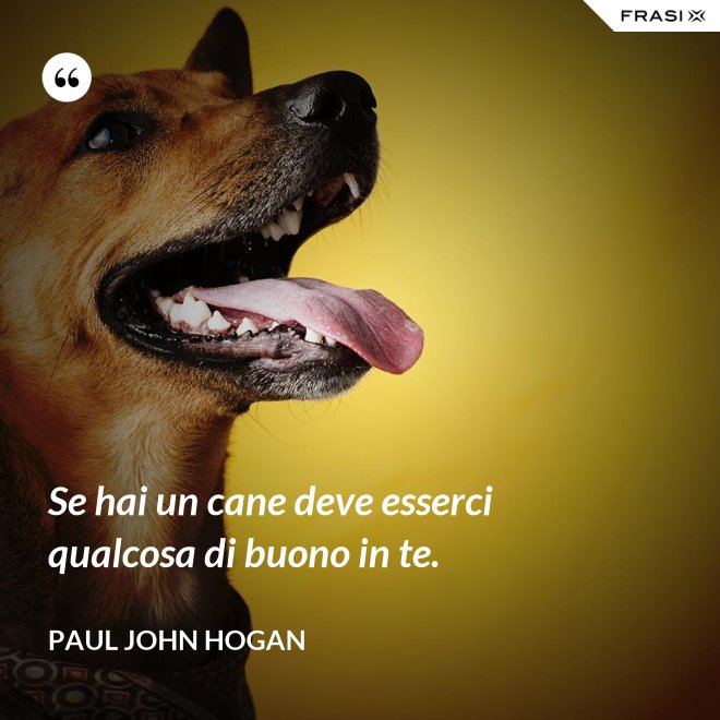 Se hai un cane deve esserci qualcosa di buono in te. - Paul John Hogan