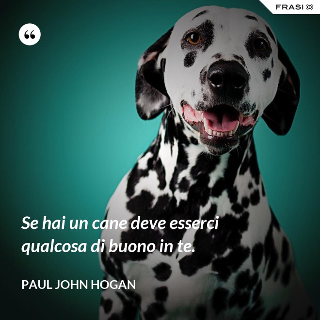 Se hai un cane deve esserci qualcosa di buono in te. - Paul John Hogan