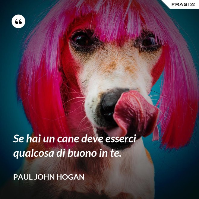 Se hai un cane deve esserci qualcosa di buono in te. - Paul John Hogan