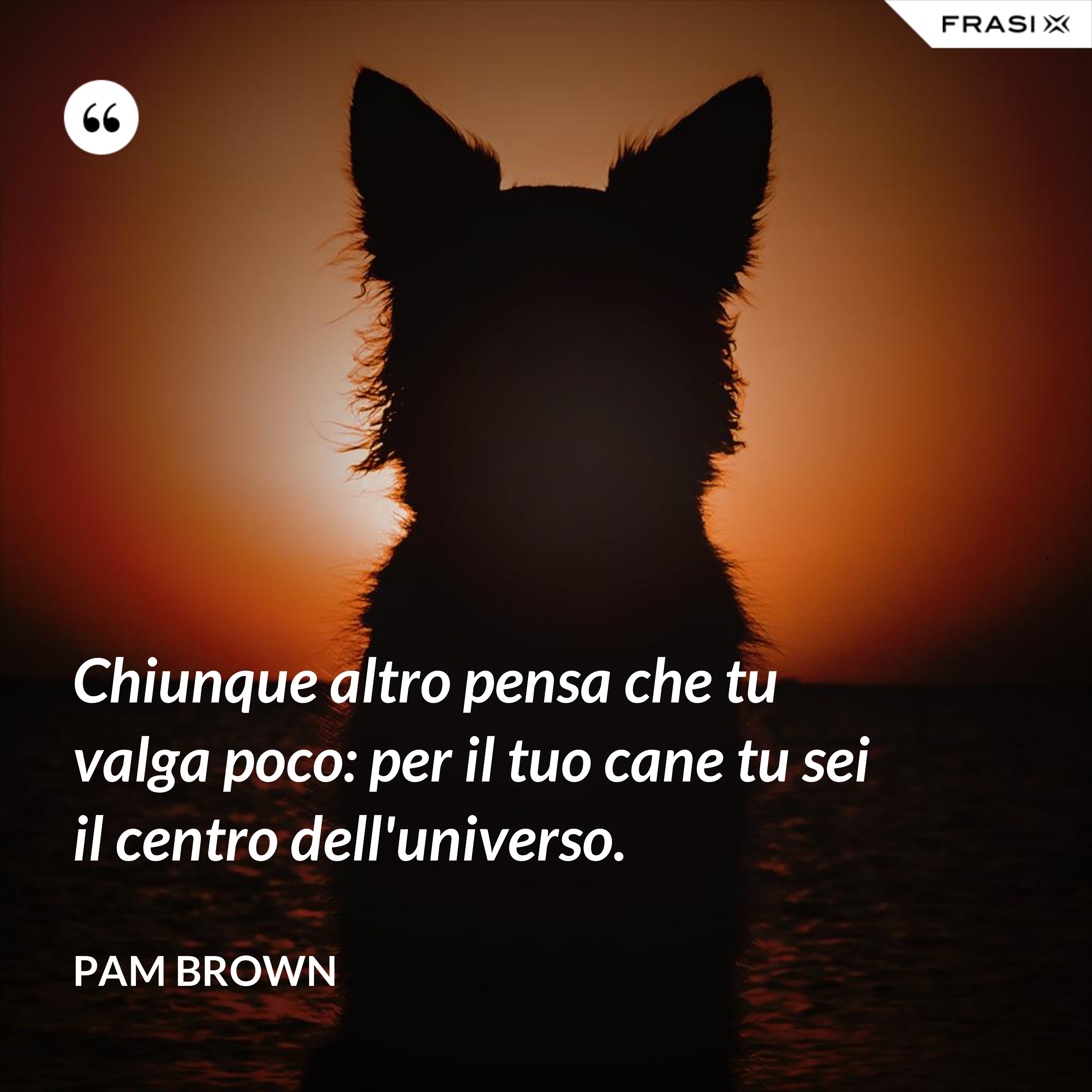 Chiunque altro pensa che tu valga poco: per il tuo cane tu sei il centro dell'universo. - Pam Brown