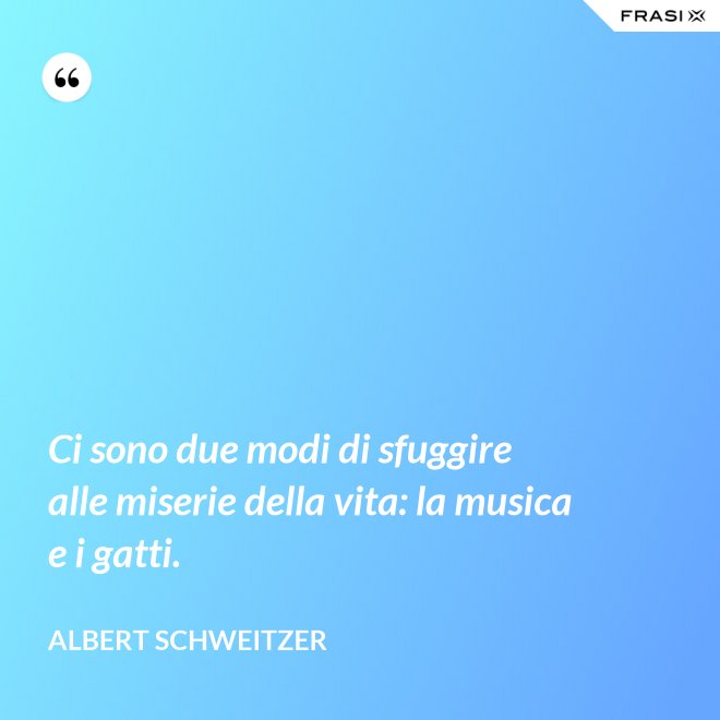 Ci sono due modi di sfuggire alle miserie della vita: la musica e i gatti. - Albert Schweitzer