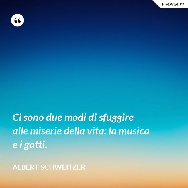 Ci sono due modi di sfuggire alle miserie della vita: la musica e i gatti. - Albert Schweitzer