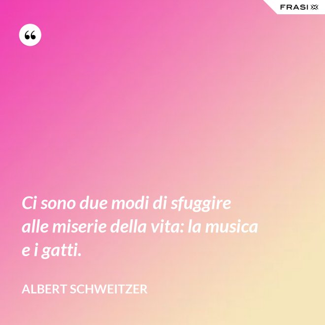 Ci sono due modi di sfuggire alle miserie della vita: la musica e i gatti. - Albert Schweitzer