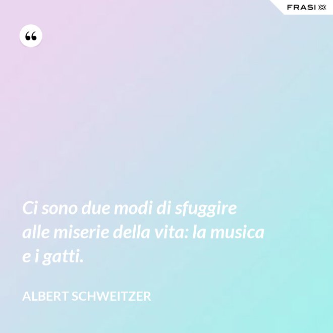 Ci sono due modi di sfuggire alle miserie della vita: la musica e i gatti. - Albert Schweitzer