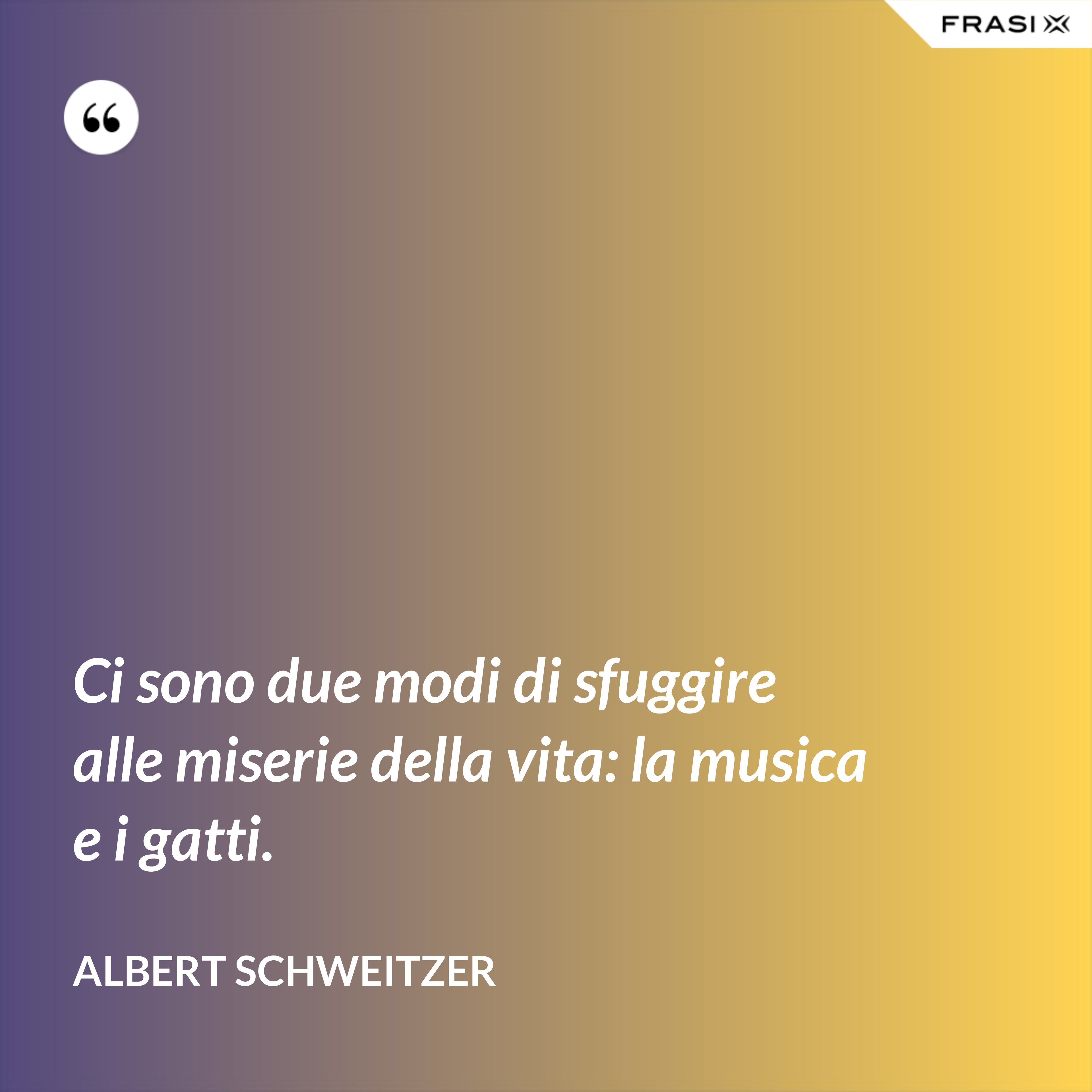 Ci sono due modi di sfuggire alle miserie della vita: la musica e i gatti. - Albert Schweitzer