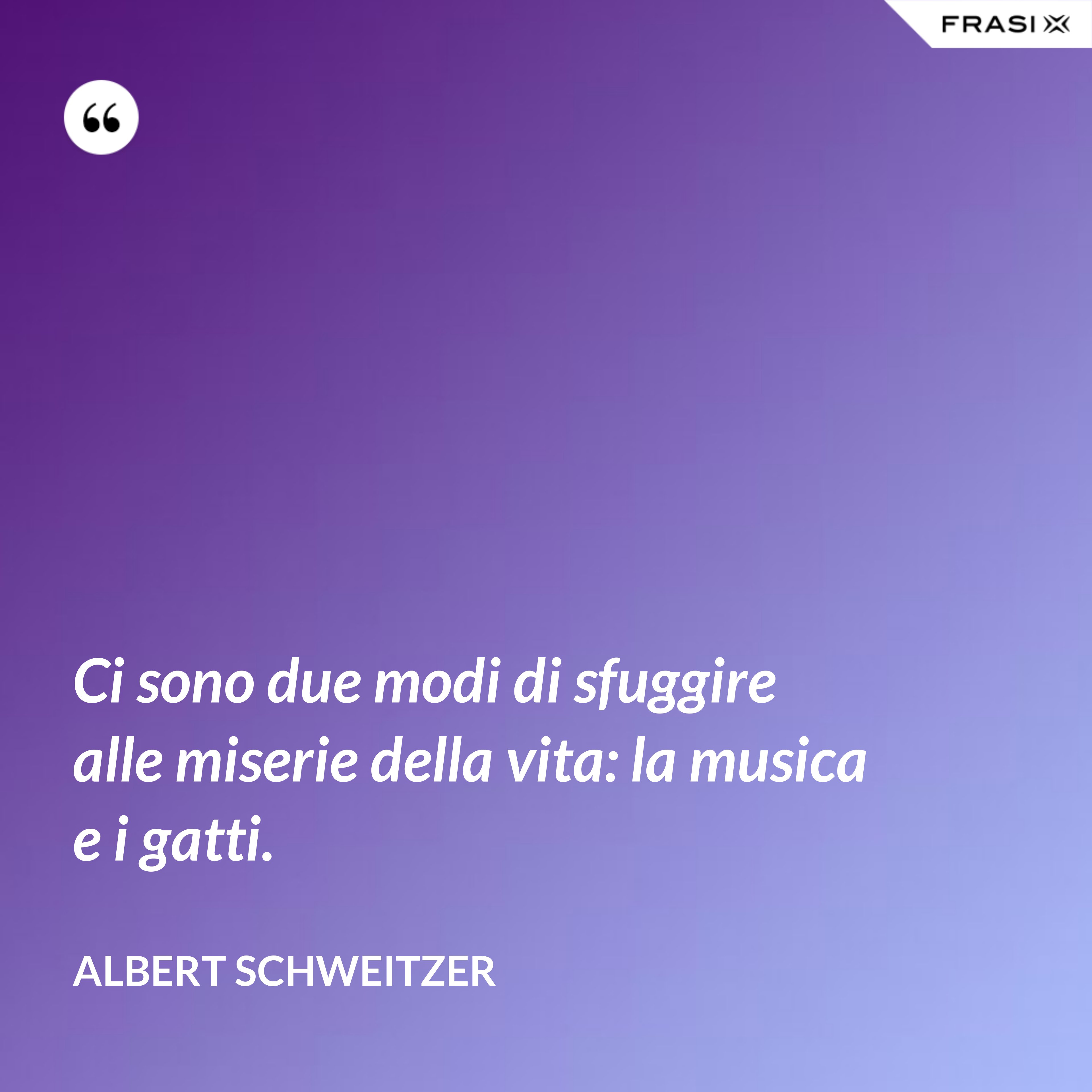 Ci sono due modi di sfuggire alle miserie della vita: la musica e i gatti. - Albert Schweitzer