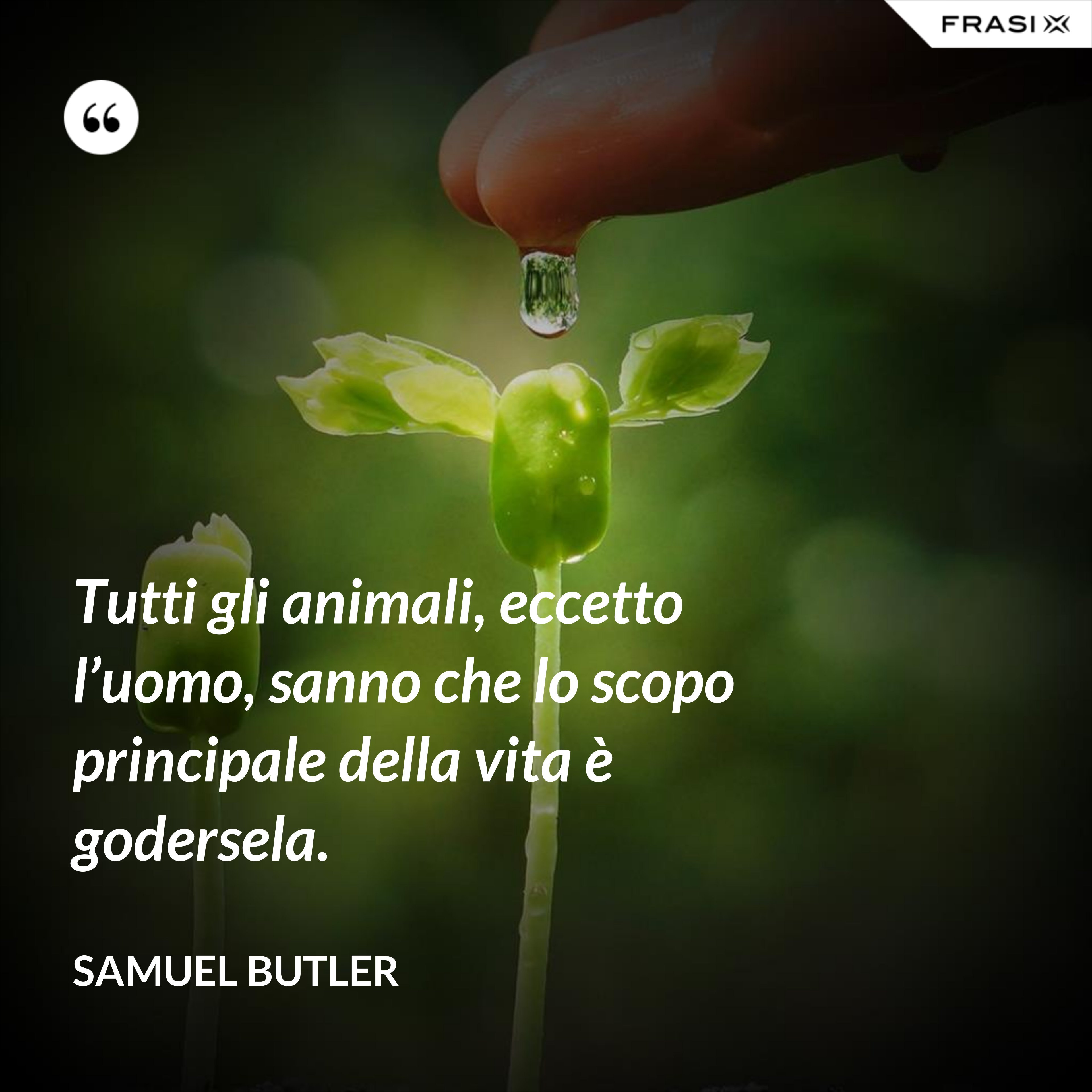 Tutti gli animali, eccetto l’uomo, sanno che lo scopo principale della vita è godersela. - Samuel Butler