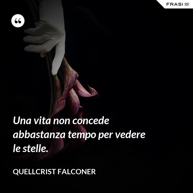 Una vita non concede abbastanza tempo per vedere le stelle. - Quellcrist Falconer