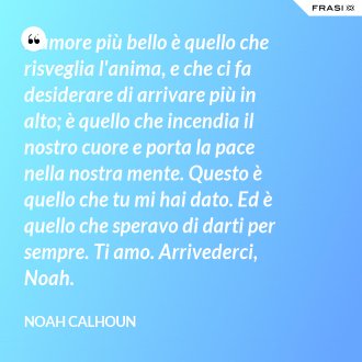 L'amore più bello è quello che risveglia l'anima, e che ci fa desiderare di arrivare più in alto; è quello che incendia il nostro cuore e porta la pace nella nostra mente. Questo è quello che tu mi hai dato. Ed è quello che speravo di darti per sempre. Ti amo. Arrivederci, Noah. - Noah Calhoun