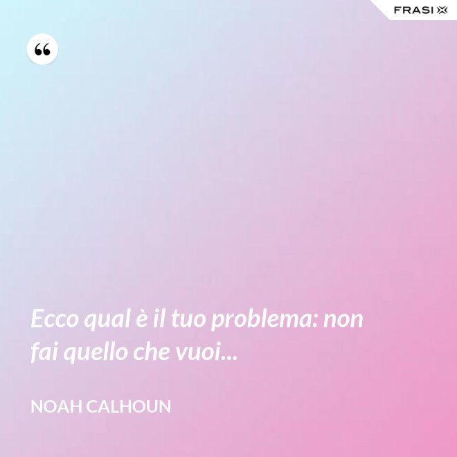 Ecco qual è il tuo problema: non fai quello che vuoi... - Noah Calhoun