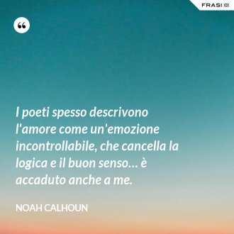 I poeti spesso descrivono l'amore come un'emozione incontrollabile, che cancella la logica e il buon senso… è accaduto anche a me. - Noah Calhoun