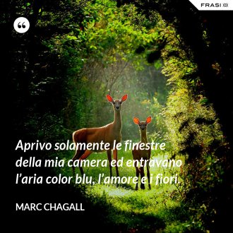 Aprivo solamente le finestre della mia camera ed entravano l’aria color blu, l’amore e i fiori. - Marc Chagall