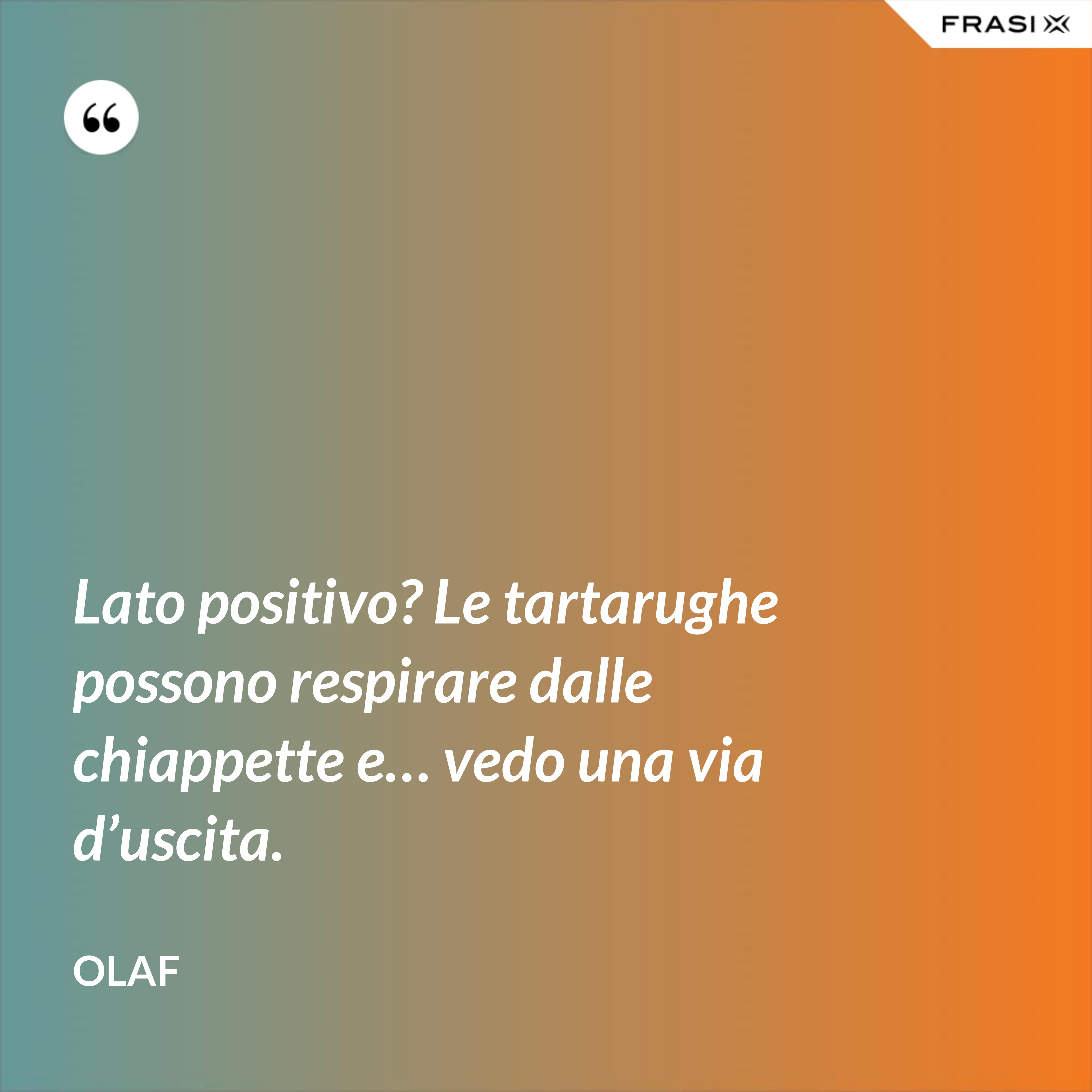 Lato positivo? Le tartarughe possono respirare dalle chiappette e… vedo una via d’uscita. - Olaf