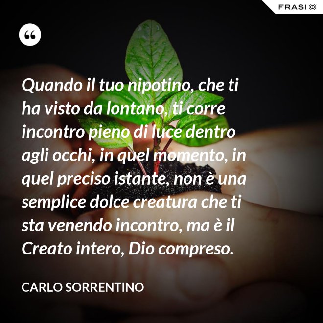 Quando il tuo nipotino, che ti ha visto da lontano, ti corre incontro pieno di luce dentro agli occhi, in quel momento, in quel preciso istante, non è una semplice dolce creatura che ti sta venendo incontro, ma è il Creato intero, Dio compreso. - Carlo Sorrentino