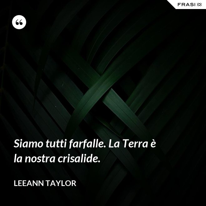 Siamo tutti farfalle. La Terra è la nostra crisalide. - LeeAnn Taylor