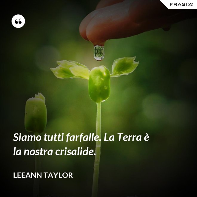 Siamo tutti farfalle. La Terra è la nostra crisalide. - LeeAnn Taylor