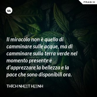 Il miracolo non è quello di camminare sulle acque, ma di camminare sulla terra verde nel momento presente e d’apprezzare la bellezza e la pace che sono disponibili ora. - Thích Nhất Hạnh