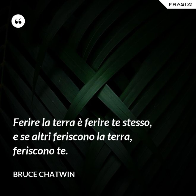 Ferire la terra è ferire te stesso, e se altri feriscono la terra, feriscono te. - Bruce Chatwin