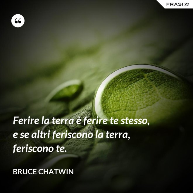 Ferire la terra è ferire te stesso, e se altri feriscono la terra, feriscono te. - Bruce Chatwin