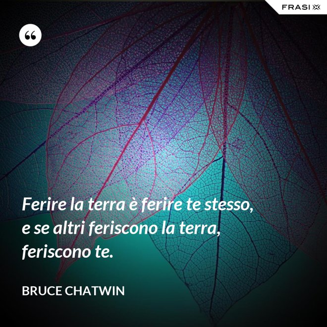 Ferire la terra è ferire te stesso, e se altri feriscono la terra, feriscono te. - Bruce Chatwin