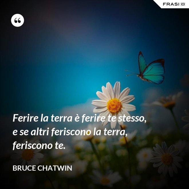 Ferire la terra è ferire te stesso, e se altri feriscono la terra, feriscono te. - Bruce Chatwin