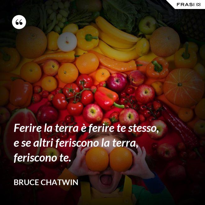 Ferire la terra è ferire te stesso, e se altri feriscono la terra, feriscono te. - Bruce Chatwin