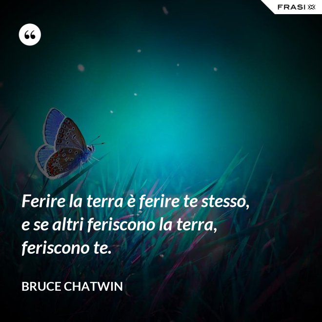 Ferire la terra è ferire te stesso, e se altri feriscono la terra, feriscono te. - Bruce Chatwin