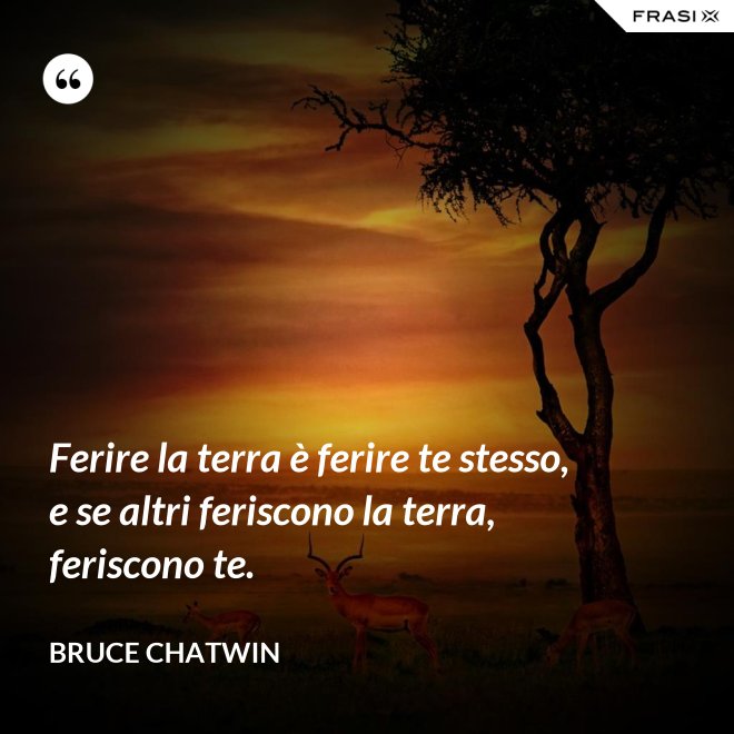 Ferire la terra è ferire te stesso, e se altri feriscono la terra, feriscono te. - Bruce Chatwin